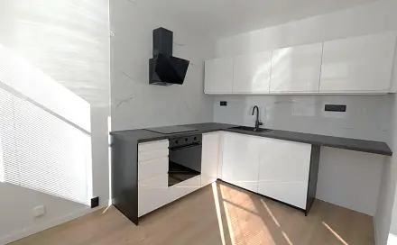 Pronájem bytu 3+kk 58 m², K. H. Máchy, Most