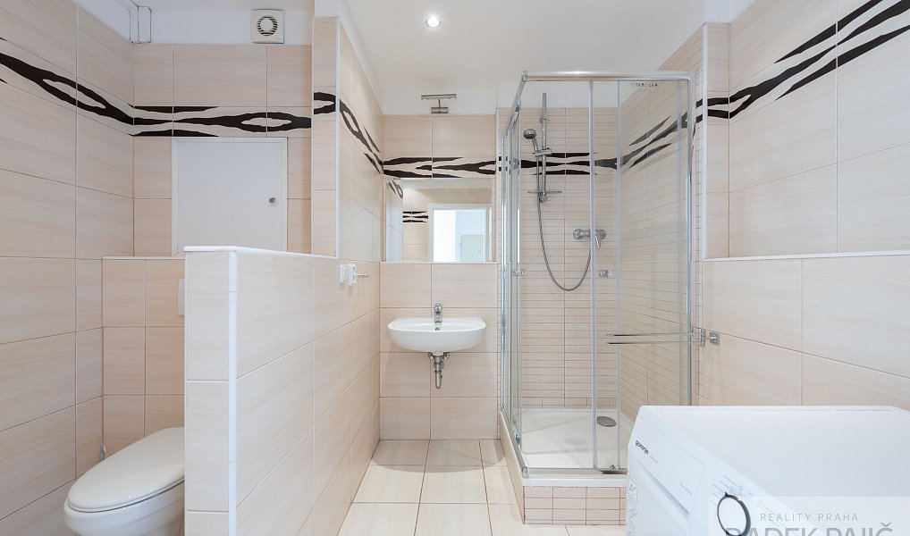 Pronájem bytu 1+1 48 m², Praha – náhled fotky 11