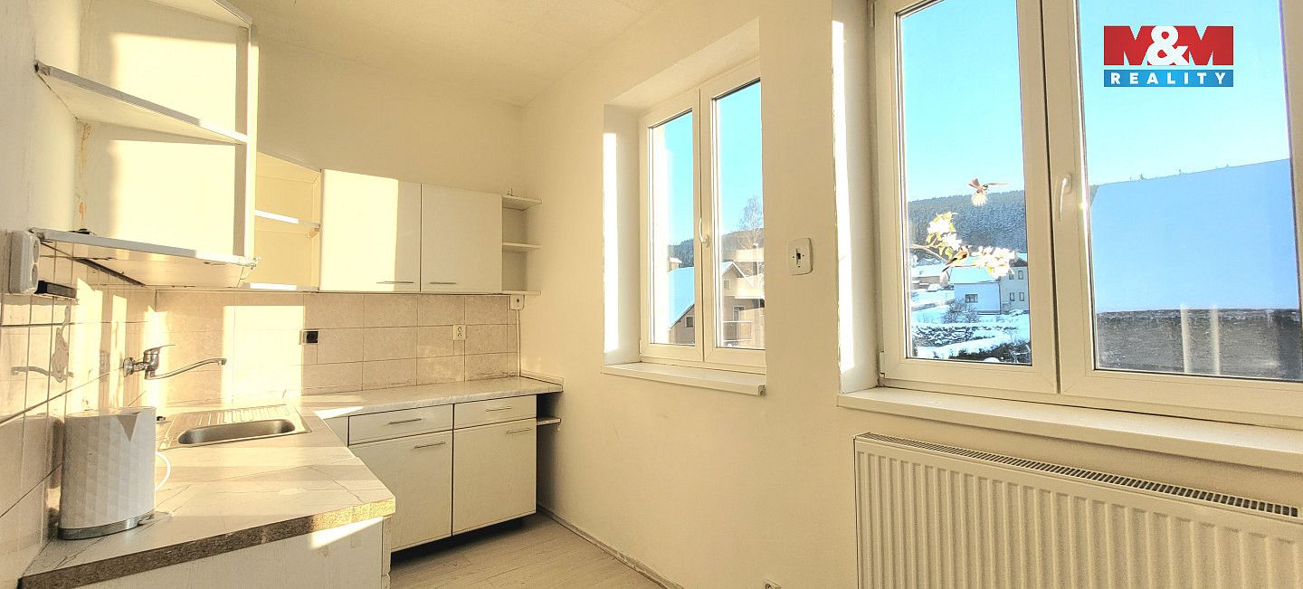Pronájem bytu 1+1 45 m² – fotografie 2
