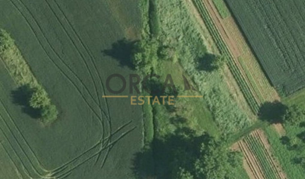 Prodej pole 480 m², Lesonice – náhled fotky 4