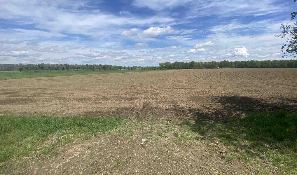 Prodej pole 5 875 m², Malovice – náhled fotky 7