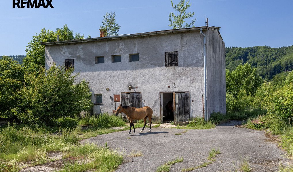 Prodej komerčního pozemku 8 581 m², Potštejn – náhled fotky 2
