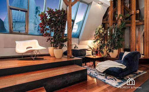 Prodej bytu 4+kk 212 m², Široká, Praha 1 - Josefov