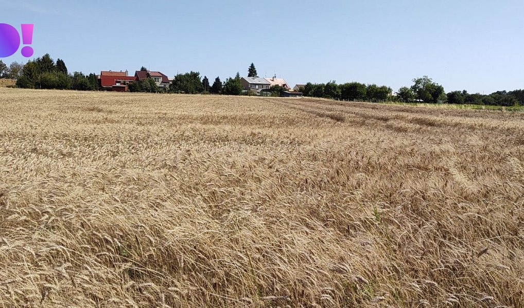 Prodej stavebního pozemku 5 182 m², Beňov – náhled fotky 6