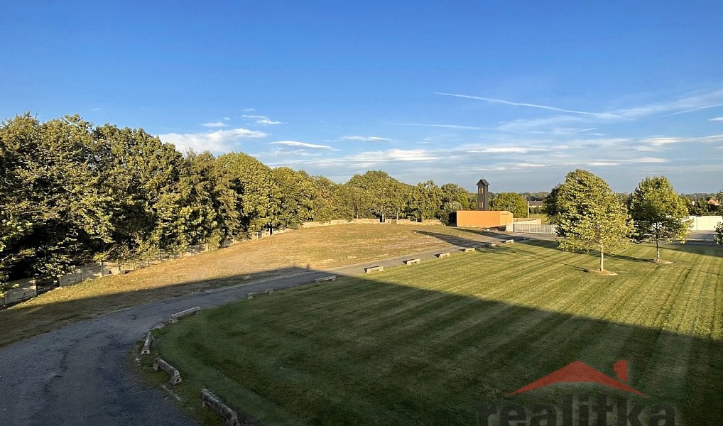 Prodej komerčního pozemku 6 000 m², Brumovice – náhled fotky 4