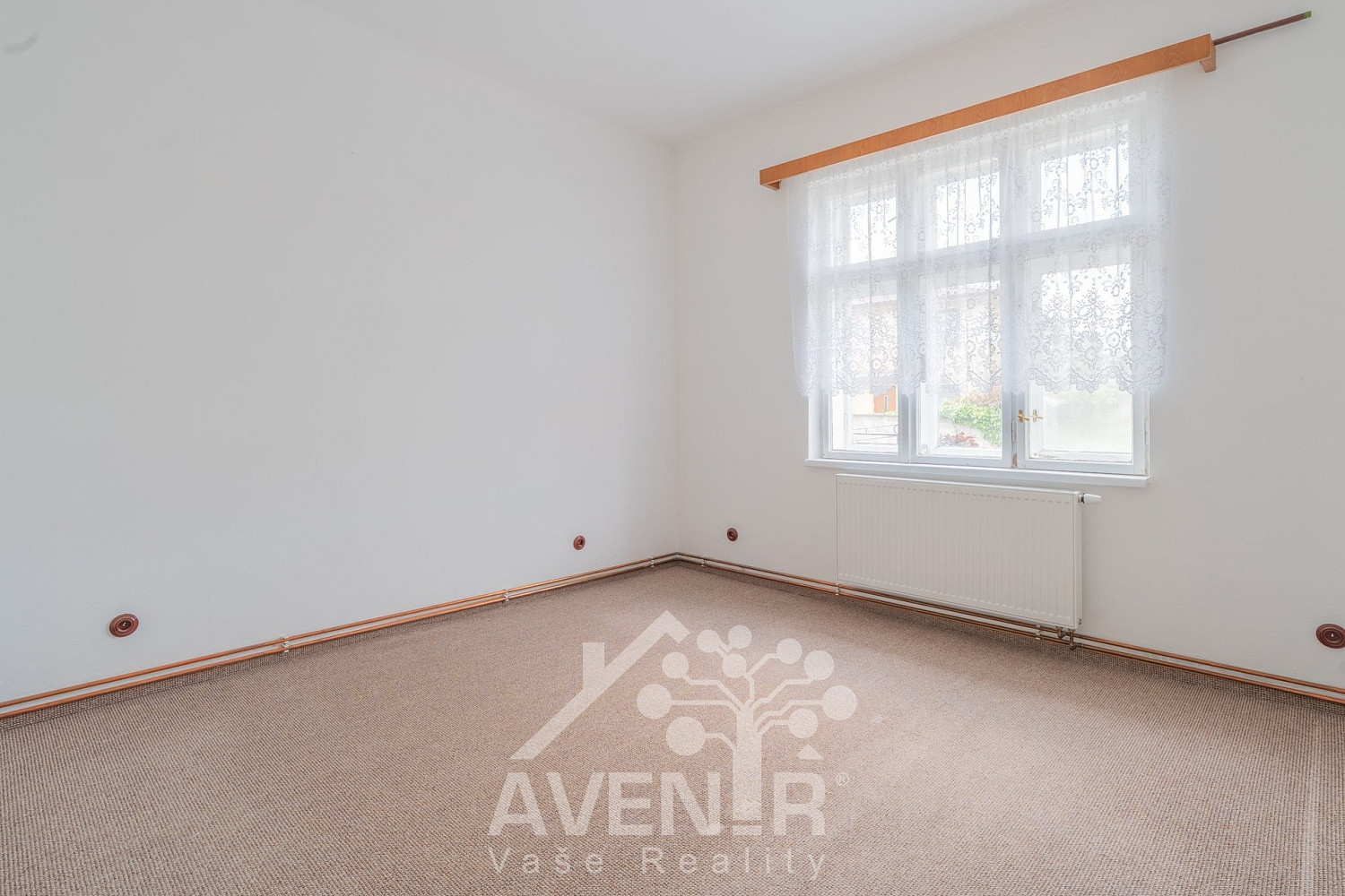 Prodej obchodních prostor 244 m² — photo 3