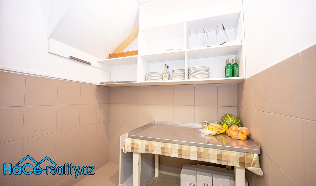 Prodej komerčního objektu (jiného typu) 572 m², Slatina nad Zdobnicí – náhled fotky 14
