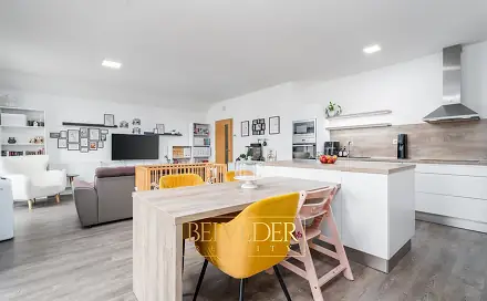 Prodej bytu 3+kk 88 m², Albrechtova, Teplice