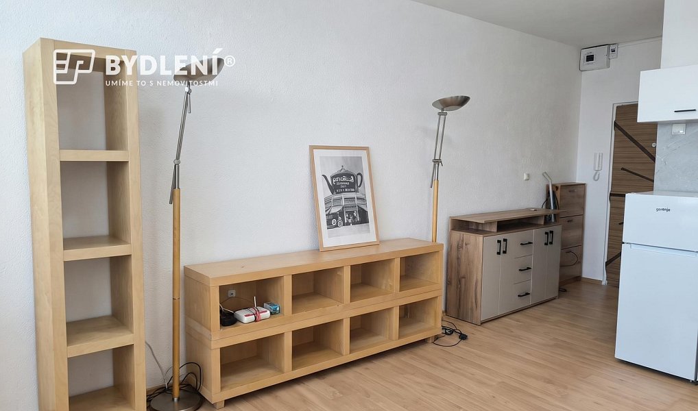 Pronájem bytu 1+kk 22 m², Ústí nad Labem – náhled fotky 9