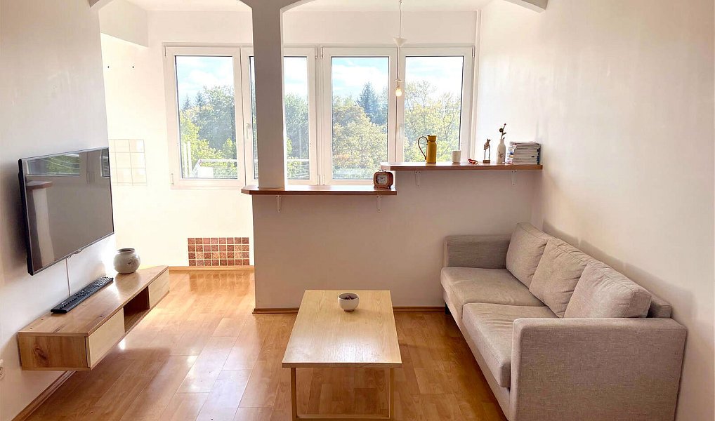 Prodej bytu 3+1 56 m², Pardubice – náhled fotky 2