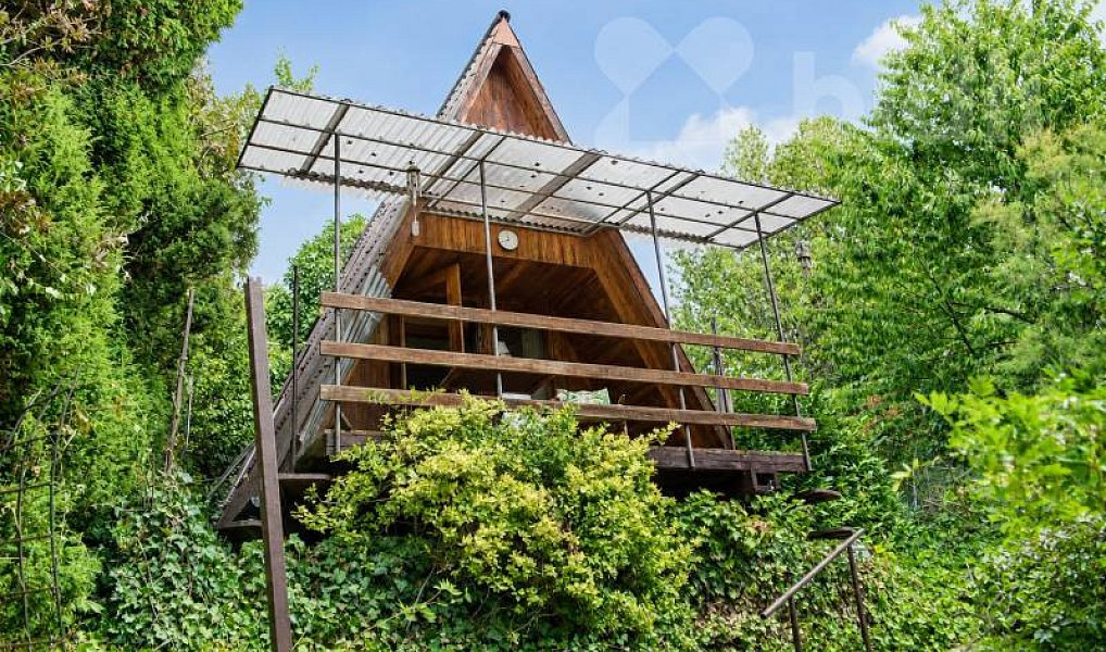 Prodej chaty/chalupy 14 m² s pozemkem 865 m², Seloutky – náhled fotky 7