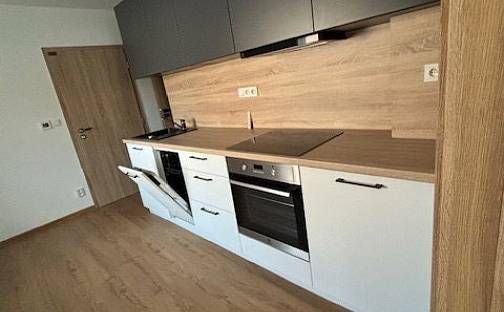 Pronájem domu 240 m² s pozemkem 500 m², Kollárova, Velká Bystřice, okres Olomouc