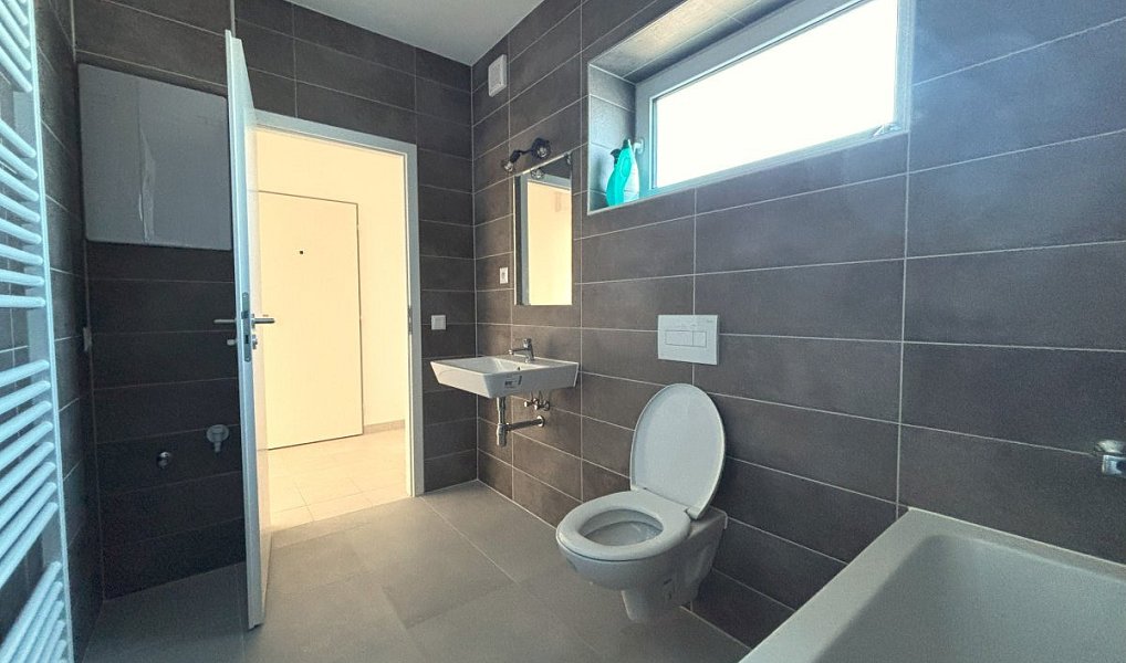 Pronájem bytu 2+kk 49 m², Zbůch – náhled fotky 8