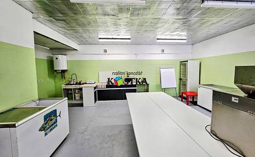 Prodej výrobních prostor 128 m², Svatoňovice, okres Opava