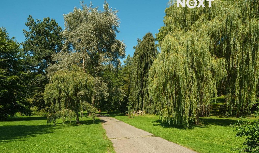 Pronájem bytu 1+kk 28 m², Česká Lípa – náhled fotky 5