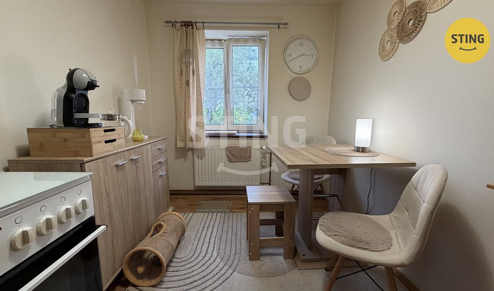 Pronájem bytu 1+1 30 m², Rýmařov – náhled fotky 3
