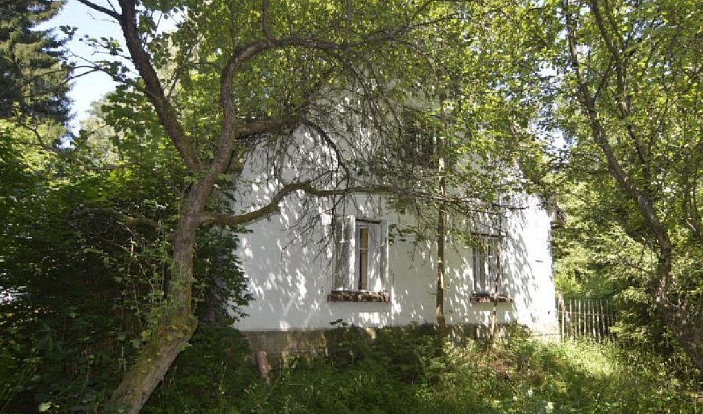 Prodej chaty/chalupy 120 m² s pozemkem 4 183 m², Horní Brusnice – náhled fotky 4