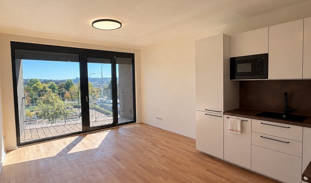 Pronájem bytu 1+kk 35 m², Praha – náhled fotky 2