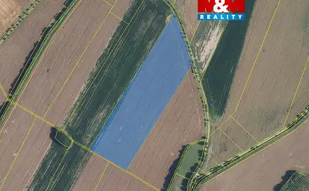 Prodej pole 72 416 m², Damníkov, okres Ústí nad Orlicí