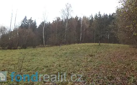Prodej pole 10 224 m², Zdíkov - Branišov, okres Prachatice
