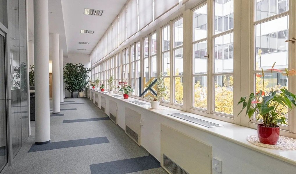 Pronájem kanceláře 300 m², Praha – náhled fotky 6