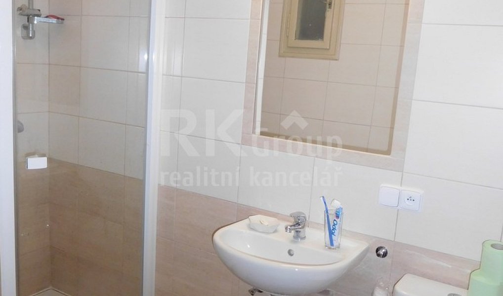 Pronájem bytu 1+kk 43 m², Praha – náhled fotky 7