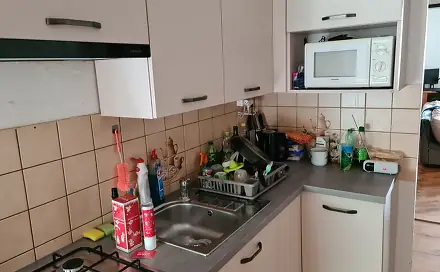 Pronájem bytu 2+1 55 m², Riegrova, Břeclav