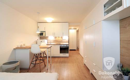 Pronájem bytu 1+kk 27 m², Antala Staška, Praha 4 - Krč