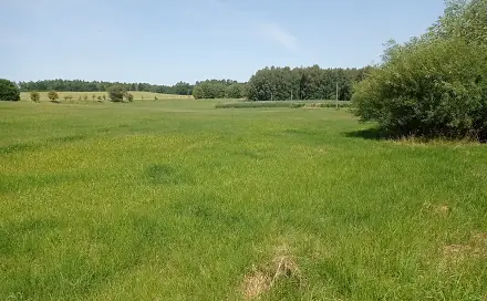 Prodej stavebního pozemku 13 356 m², Vyžice, okres Chrudim