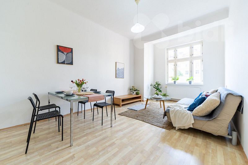 Prodej bytu 1+1 45 m²