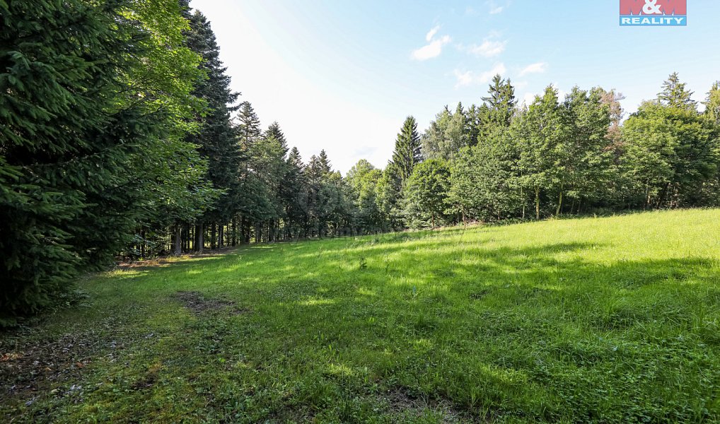 Prodej lesa 15 707 m², Petrovice u Sušice – náhled fotky 6