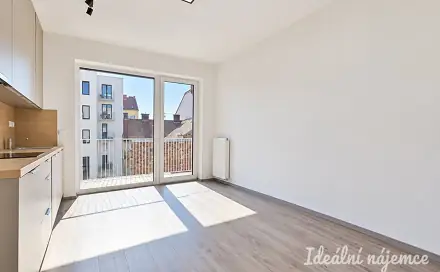 Pronájem bytu 1+kk 40 m², Křenová, Brno - Trnitá