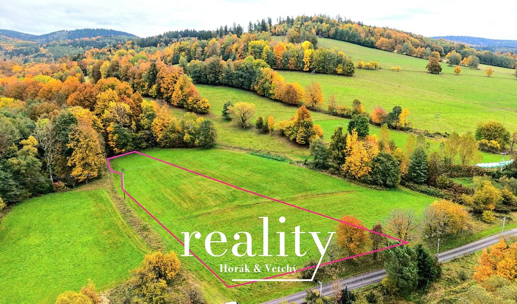 Prodej stavebního pozemku 3 588 m², Sobotín – náhled fotky 4