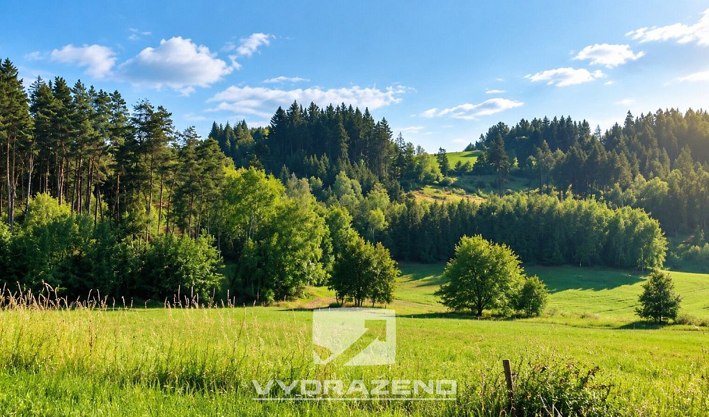 Prodej pole 3 946 m², Levínská Olešnice – náhled fotky 2