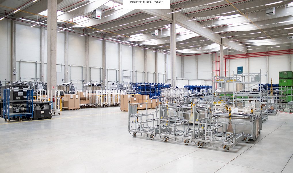 Pronájem výrobních prostor 3 553 m², Solnice – náhled fotky 7
