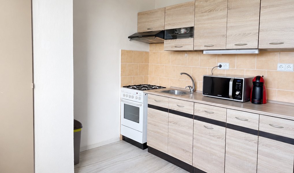 Pronájem bytu 2+1 51 m², Lovosice – náhled fotky 3