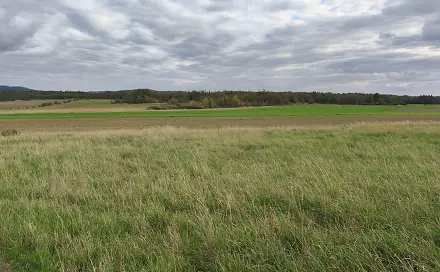 Prodej louky 3 629 m², Stará Huť, okres Příbram