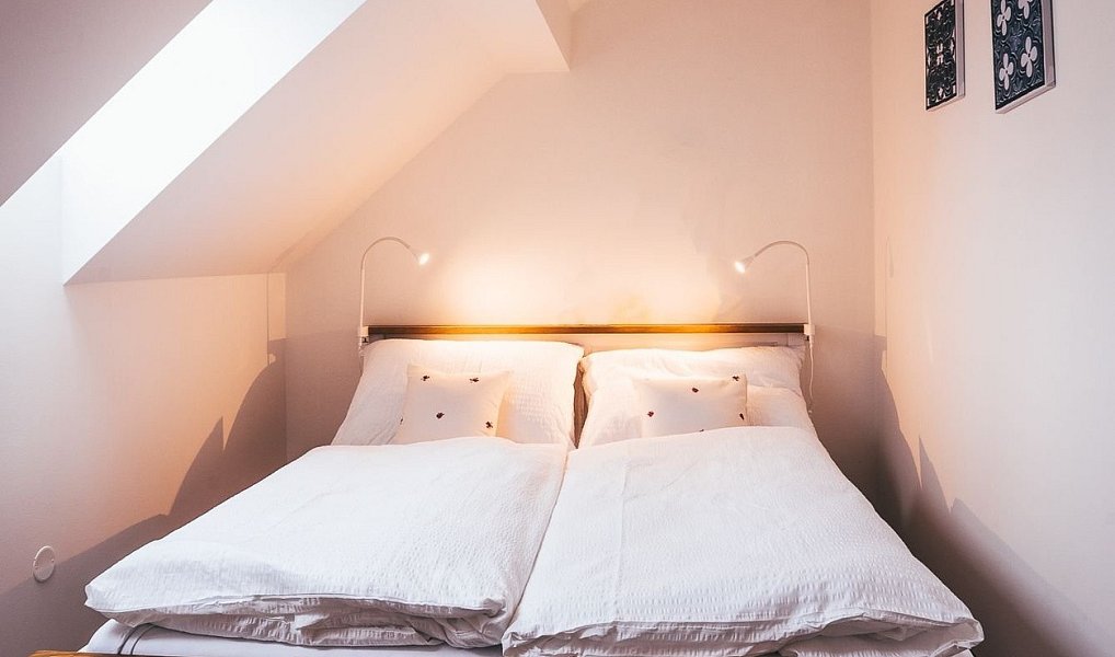 Pronájem chaty/chalupy 247 m² s pozemkem 1 065 m², Mojné – náhled fotky 21