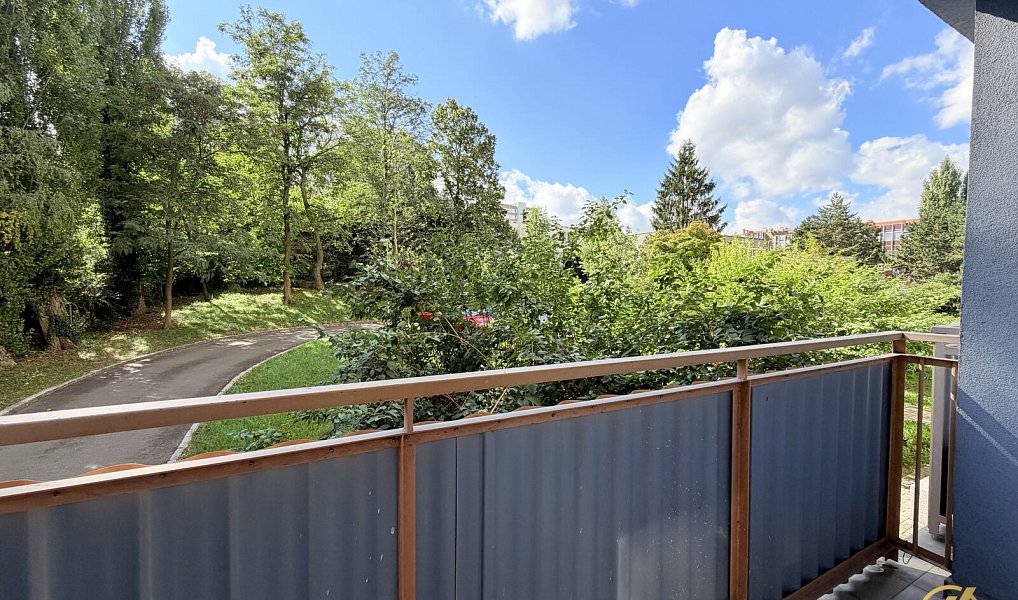 Prodej bytu 2+1 60 m², Mladá Boleslav – náhled fotky 11