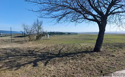 Prodej komerčního pozemku 917 m², Holubice, okres Vyškov
