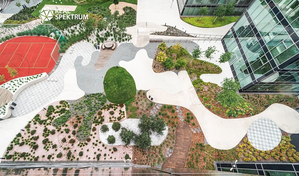 Pronájem kanceláře 535 m², Brno – náhled fotky 15