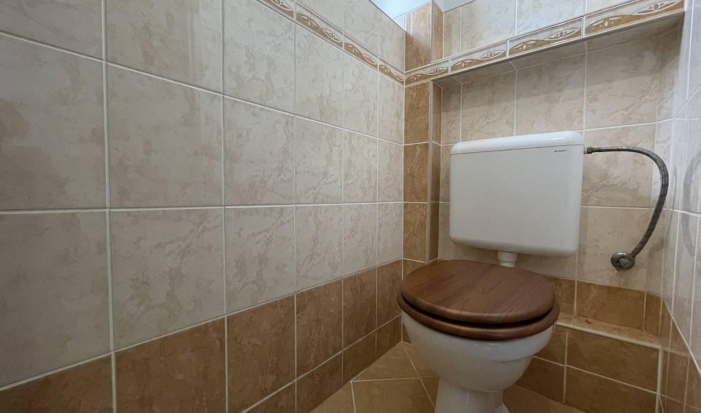 Prodej domu 228 m² s pozemkem 800 m², Tuřice – náhled fotky 12