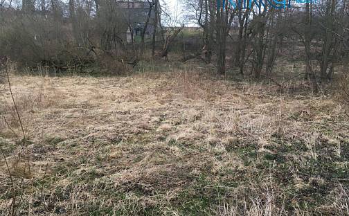 Prodej louky 2 968 m², Dobřejovice