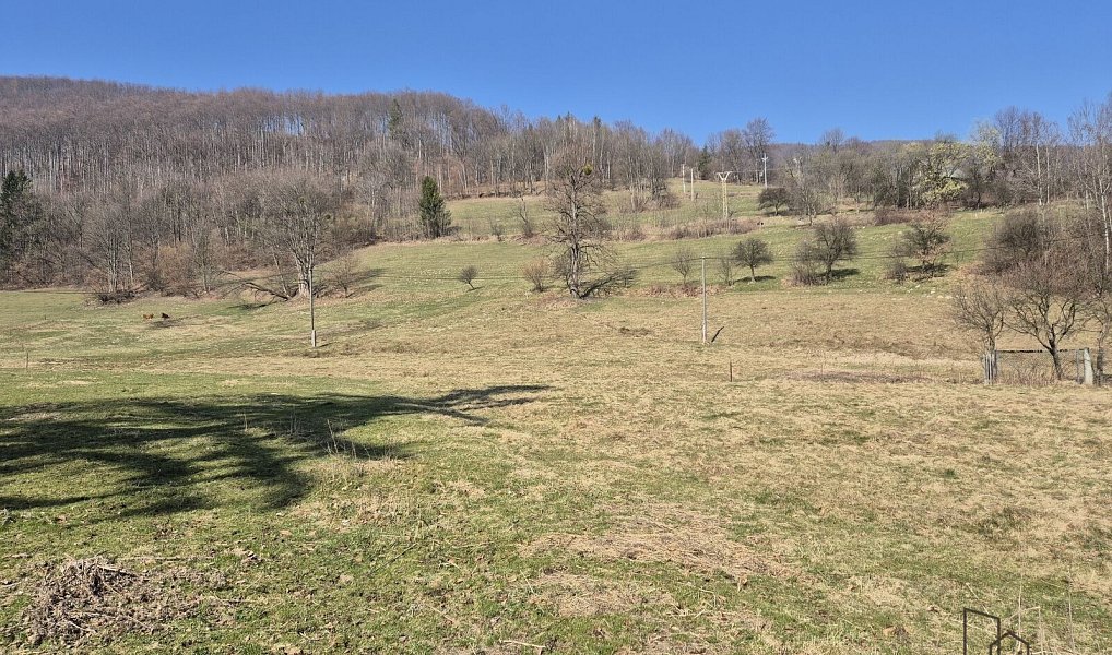 Prodej stavebního pozemku 2 189 m², Košařiska – náhled fotky 2