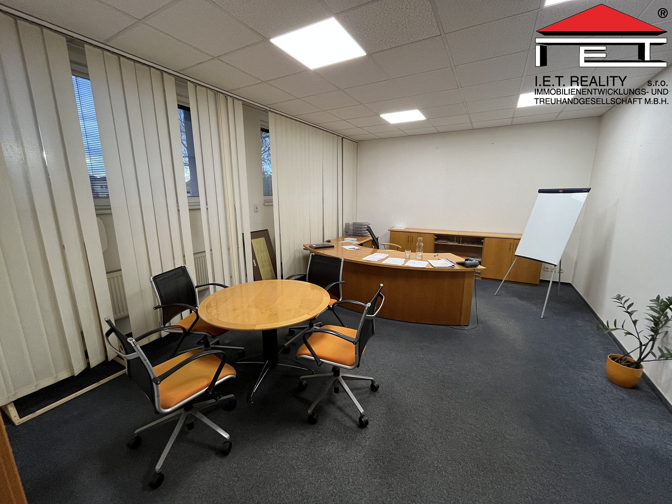 Pronájem obchodních prostor 785 m² – fotografie 4