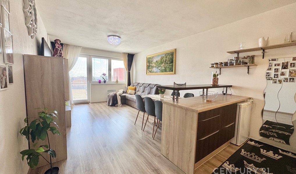 Prodej bytu 3+kk 68 m², Brno – náhled fotky 3
