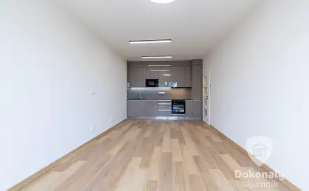 Pronájem bytu 2+kk 54 m², Benešov