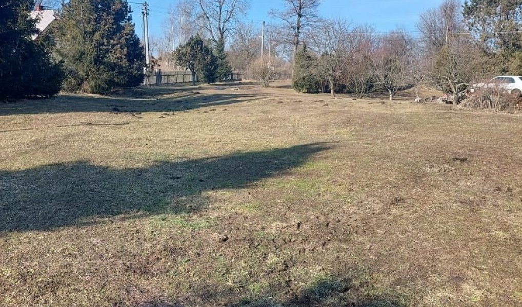 Prodej domu 125 m² s pozemkem 4 842 m², Moravský Beroun – náhled fotky 11