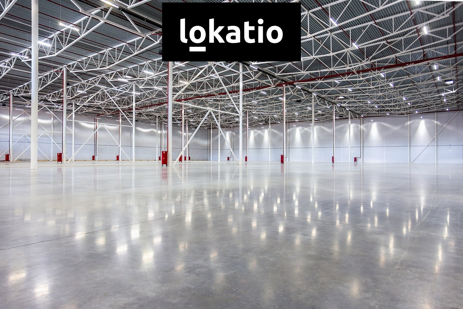 Pronájem skladovacích prostor 4 000 m² — photo 4