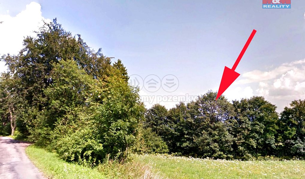 Prodej louky 7 064 m², Cotkytle – náhled fotky 2